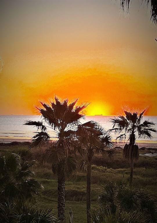 Galvestonian Tropical Island Getaway # 107 - Direkt am Galveston East Beac 1