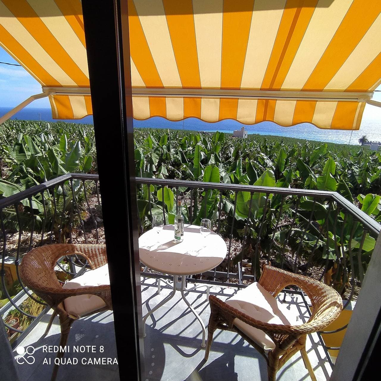 Foto 13 von 68: Clover „Trail Mountain La Palma“ mit Meerblick
