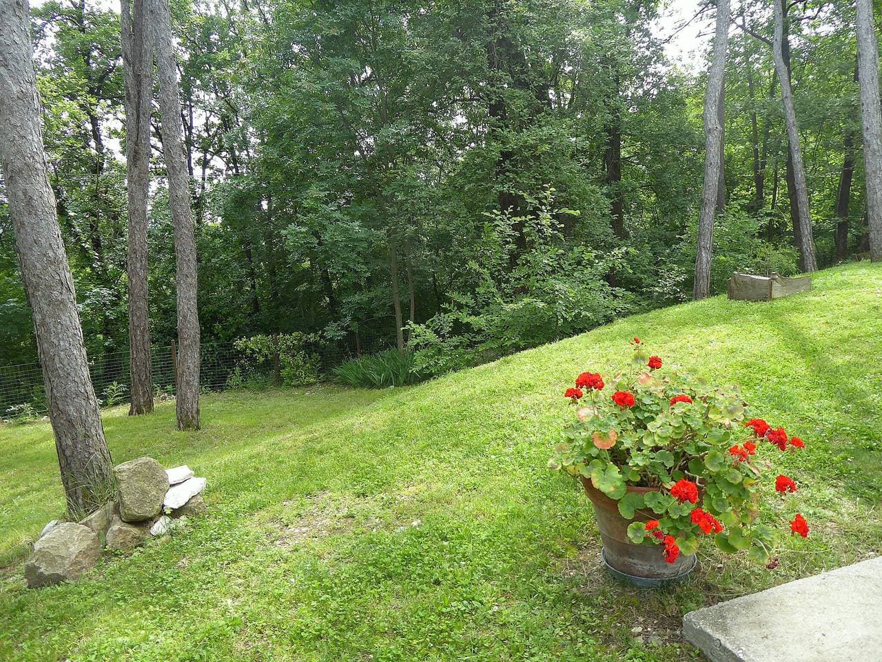 Foto 5 von 51: Villa für 6 Personen mit Balkon