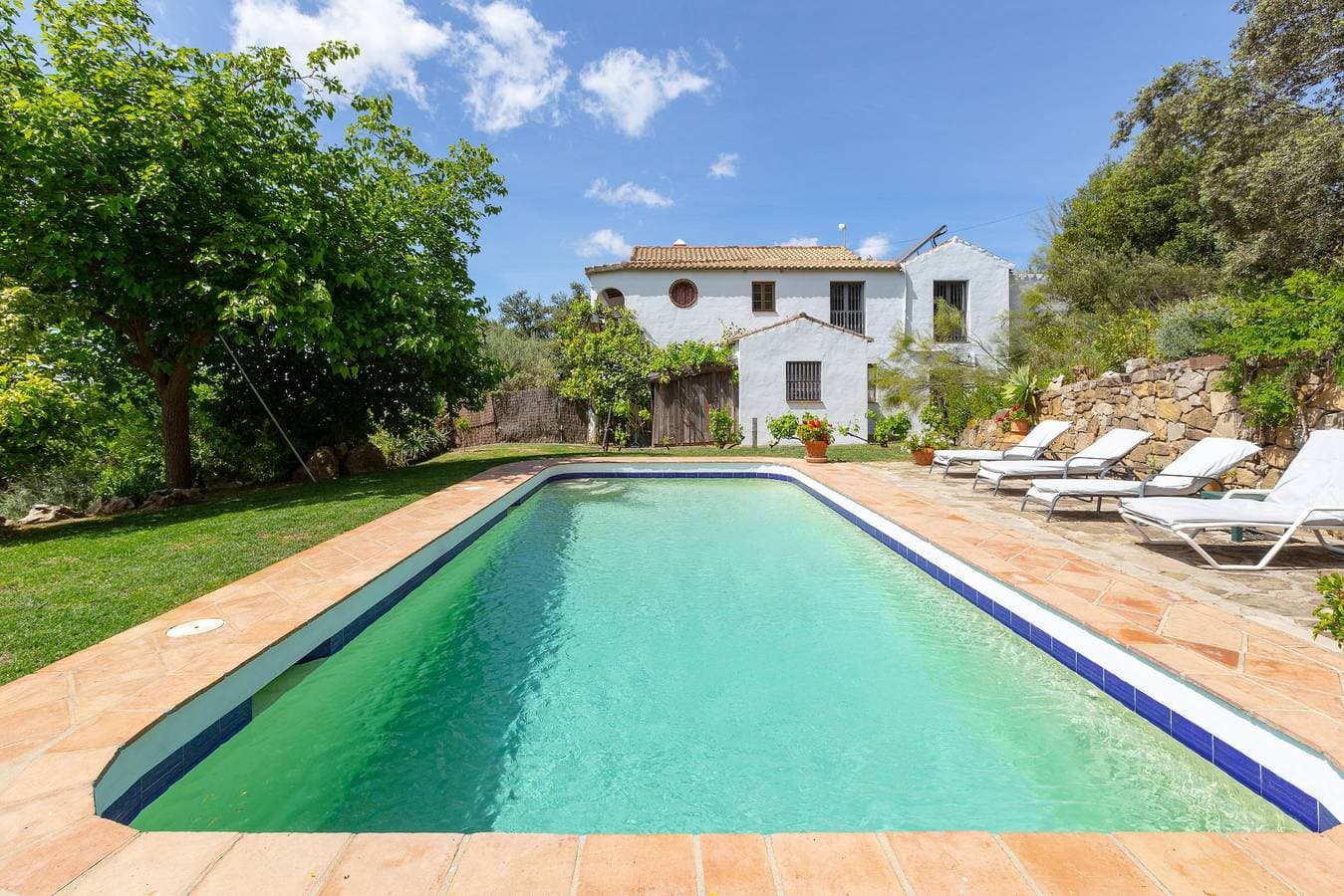 Los Algarrobos Gaucin 1