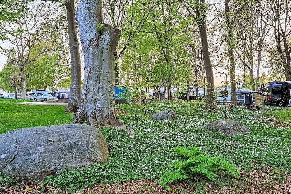 Foto 5 von 22: 4 Sterne Ferienhaus in Sölvesborg