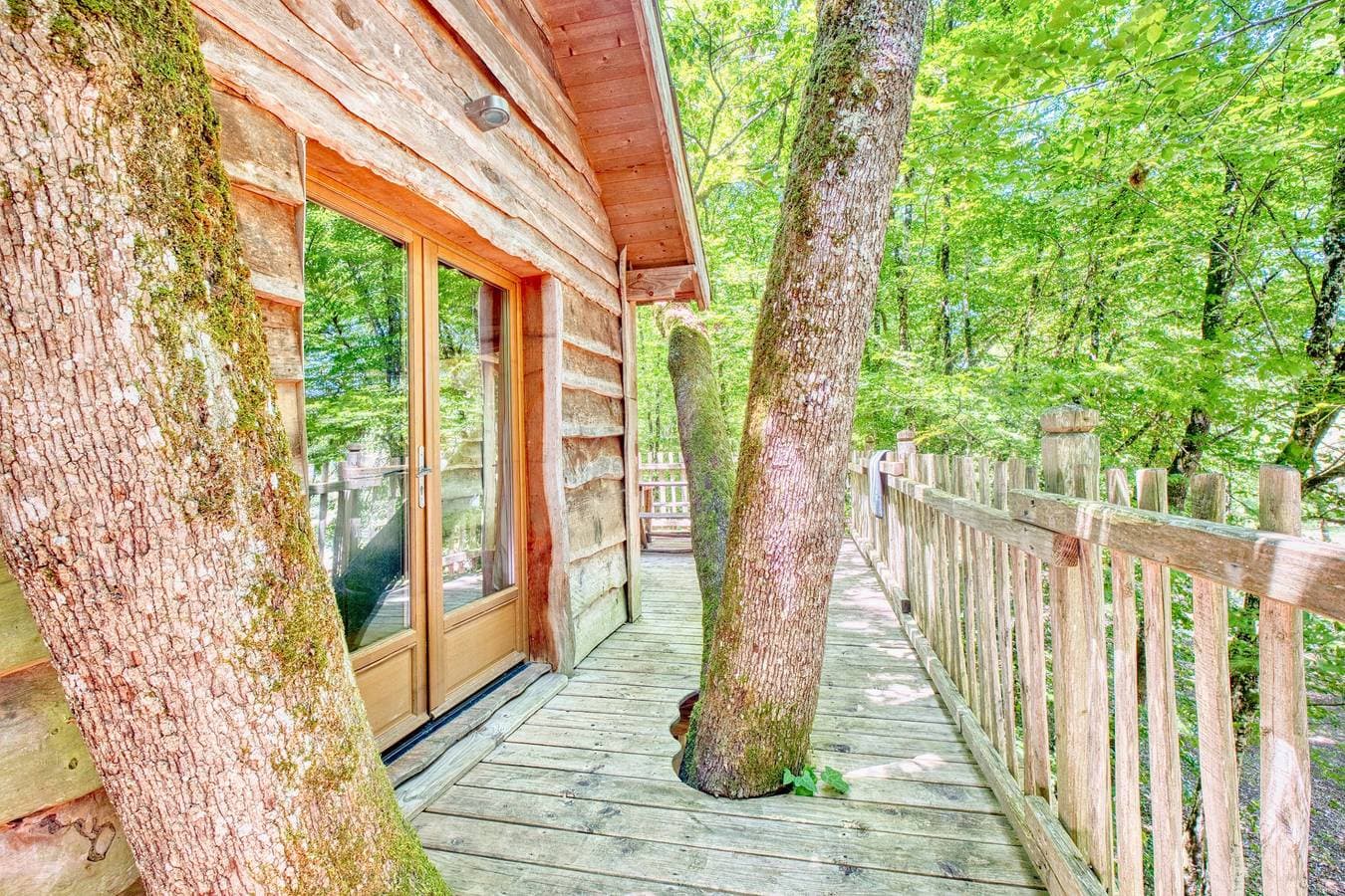 Foto 4 von 27: Cabane Amicie in den Bäumen – Natur-Retreat mit gemeinsamem beheiztem Innenpool