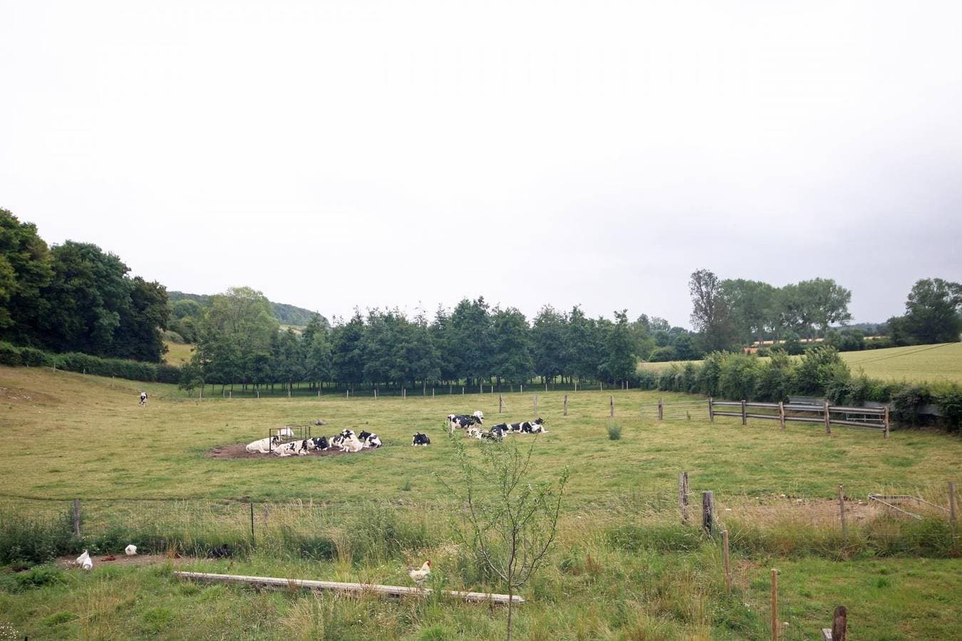 Foto 8 von 32: Gîtes de France® - Les Ecuries du Mesnil aux Moines