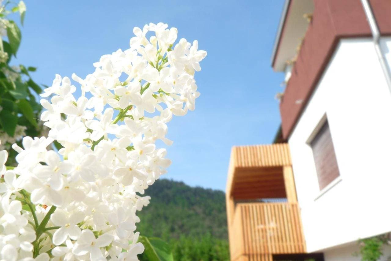 B&B Casa sul Lago - Appartamenti 1