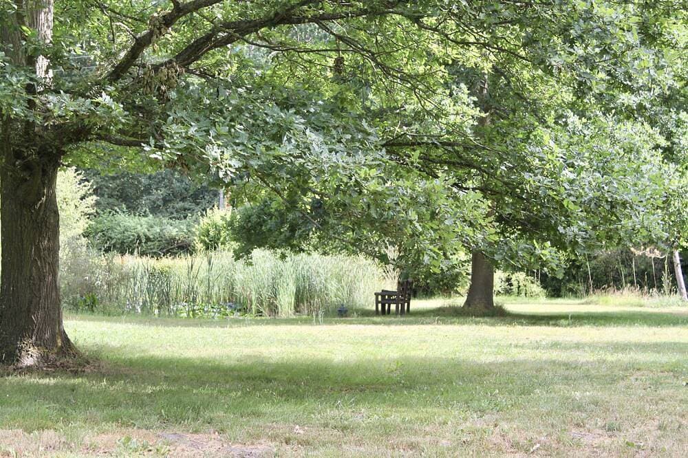 Foto 8 von 30: Wunderbare Hütte aus dem 19. Jahrhundert im Wald von Rambouillet, 1 Stunde von Paris entfernt