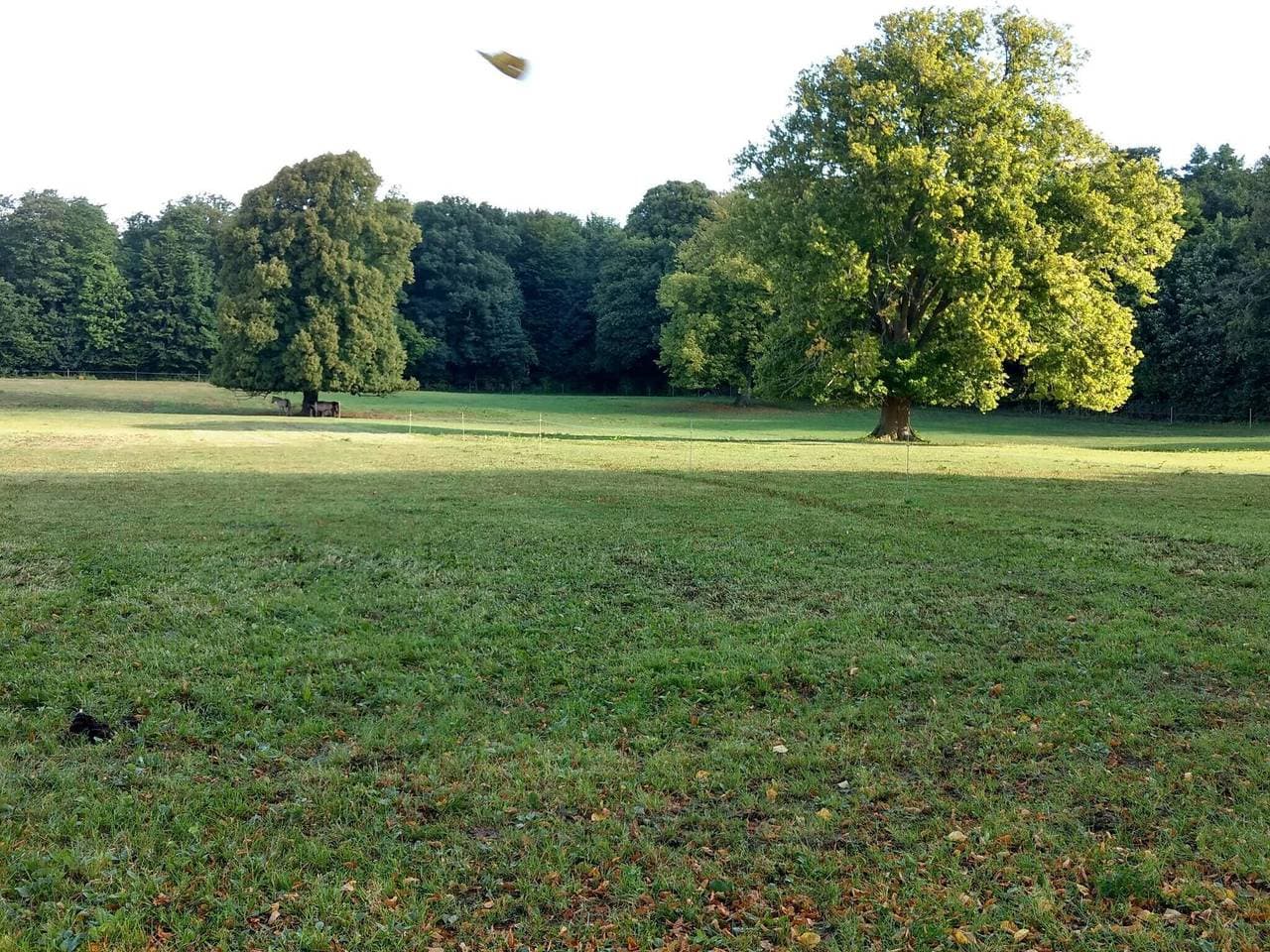 Foto 6 von 37: Meereszauber in Boged