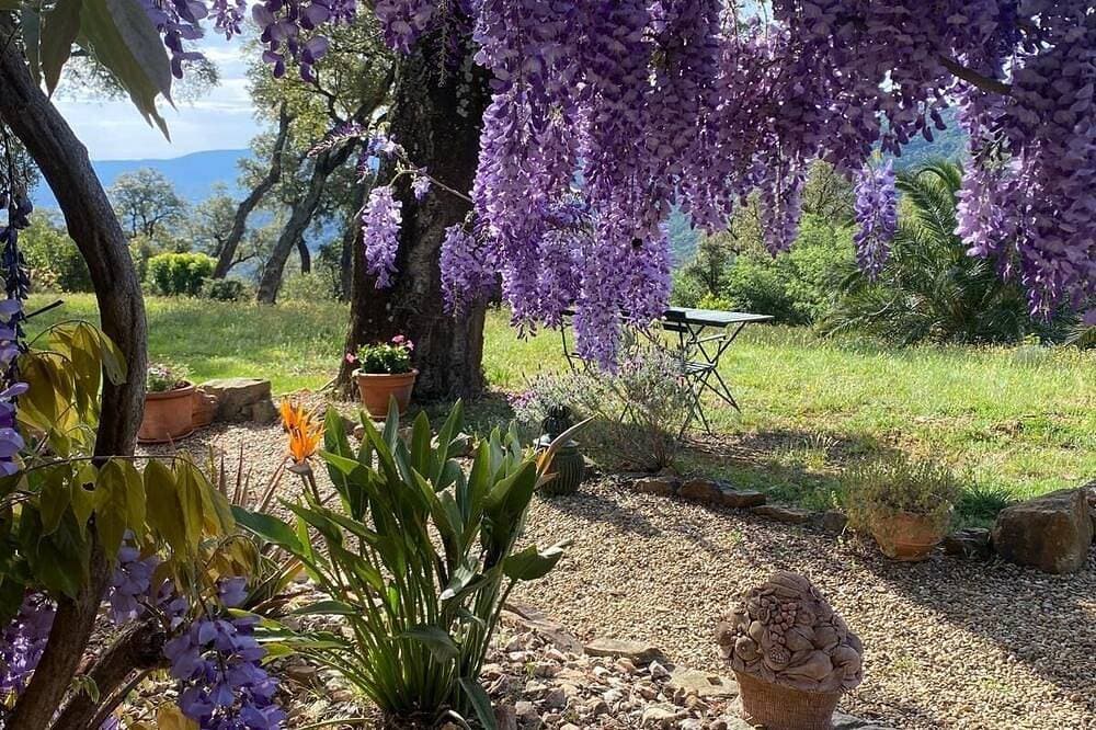 Foto 13 von 30: House exceptional site on 10 Ha panoramic sea view of the Gulf of St-Tropez
