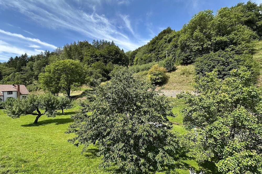 Foto 12 von 22: Ferienhaus mit Balkon & Garten im Thüringer Wald