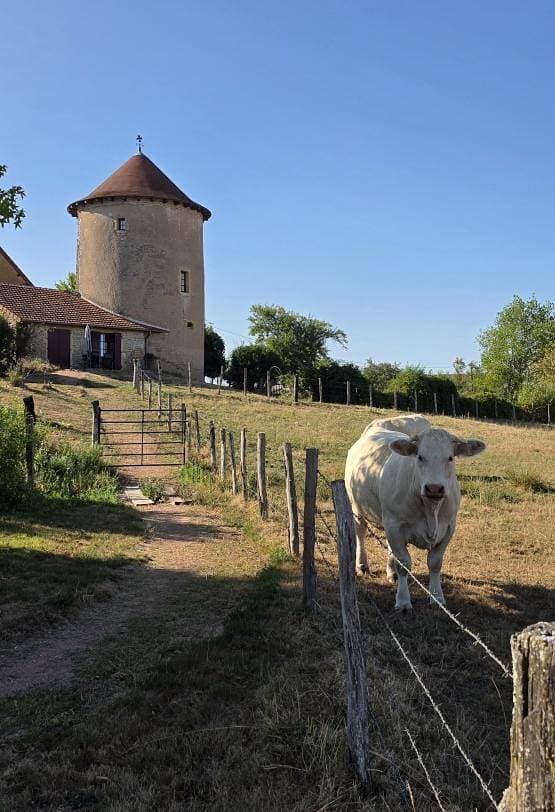 Foto 13 von 45: La Tour
