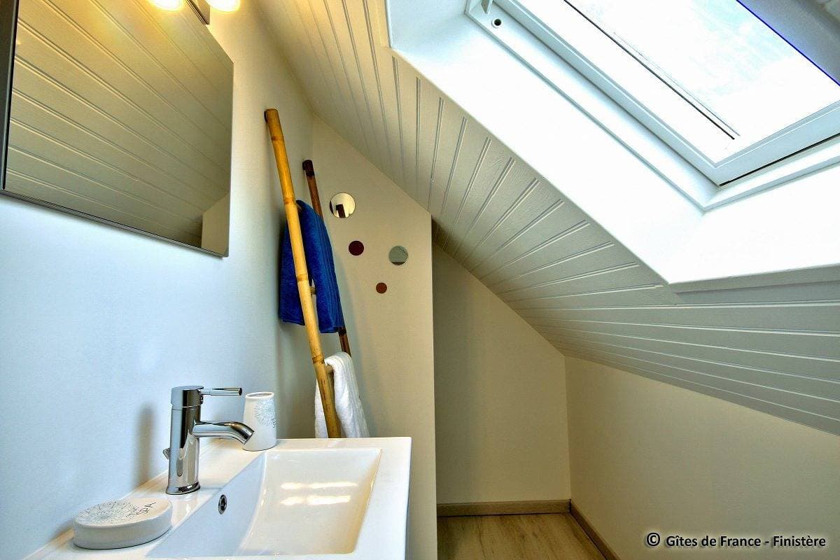 Foto 12 von 29: Ty kerrien