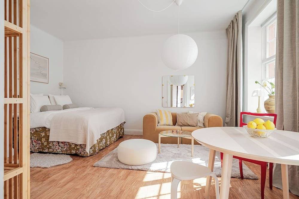 Newly Renovated Elegant Studio Vasastan / Odenplan 1