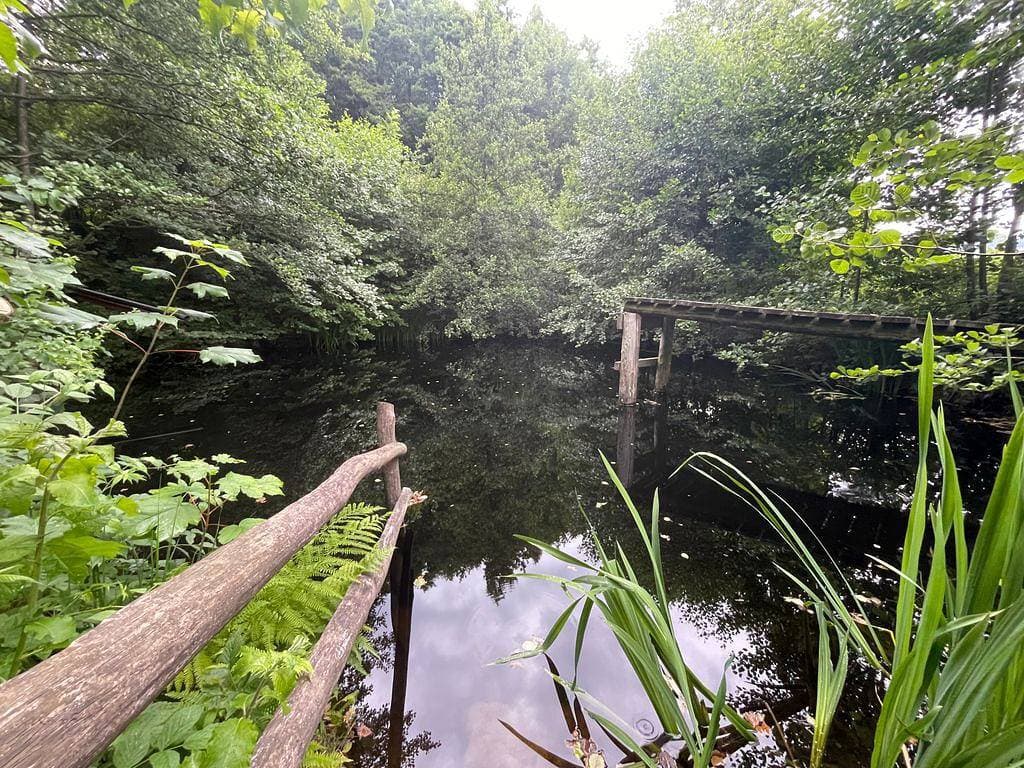 Foto 3 von 20: Ferienwohnung mit privatem Naturschwimmteich - Ferienwohnung mit direktem Zugang zum Garten