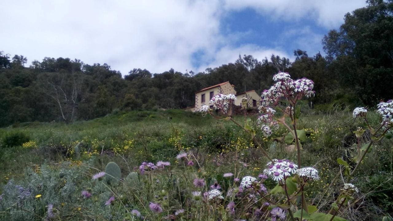 Foto 8 von 9: Holiday Home
