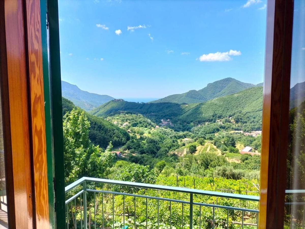 La Casa in Vigna 1