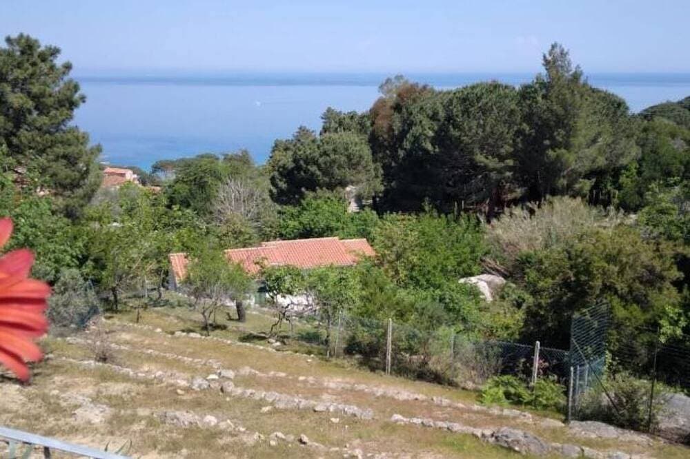 Foto 13 von 30: Bougainvillea Overview House
