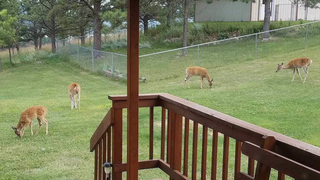Foto 4 von 22: Privates Landhaus in den Black Hills