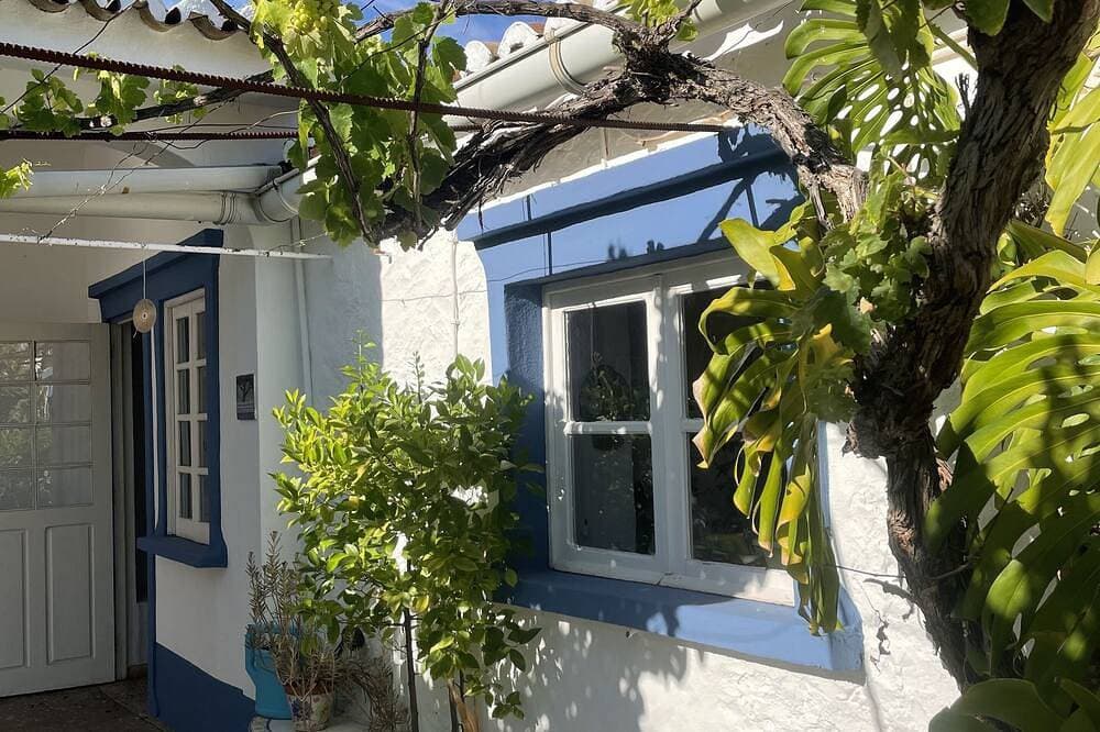 Foto 11 von 26: Portugiesisches Bauernhaus mit ummauerten Garten und eigenem Pool