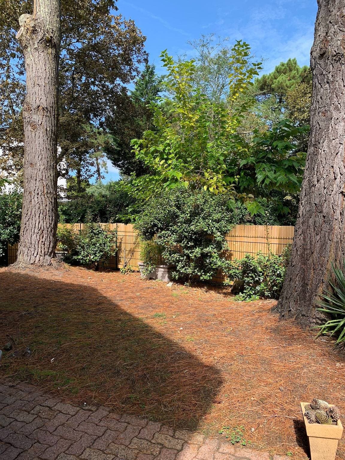 Foto 2 von 13: Ferienwohnung für 4 Personen mit Garten
