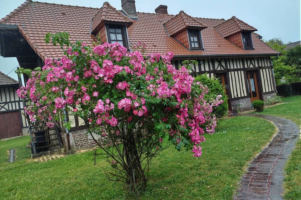 Foto 12 von 30: Maison La Longe'yeres