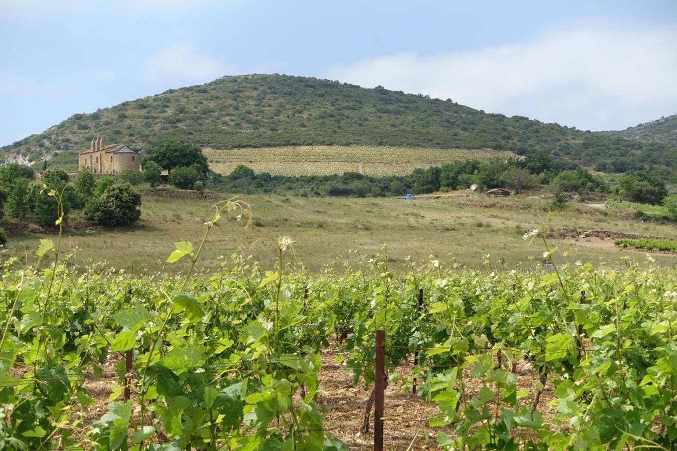 Foto 13 von 18: Lavande
