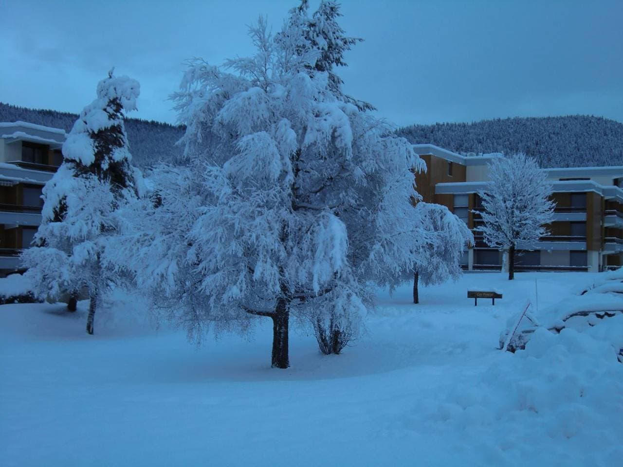 Foto 7 von 36: Les Chamois - 3***