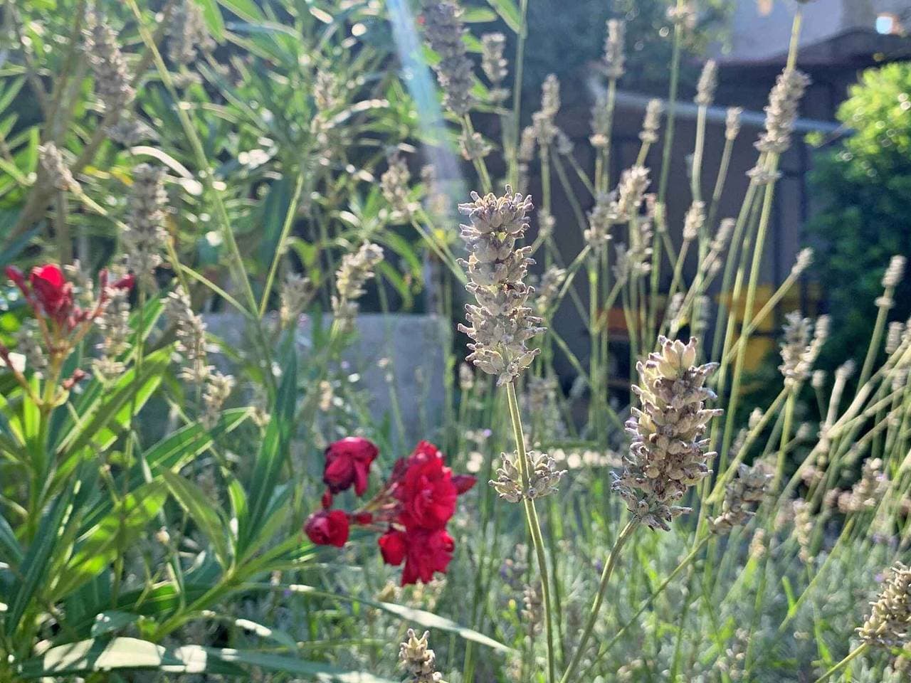 Foto 6 von 28: Ferienwohnung mit Terrasse und Grillmöglichkeit