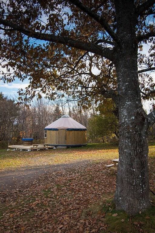 Cedar Yurt im Cabot Shores Wilderness Resort 1