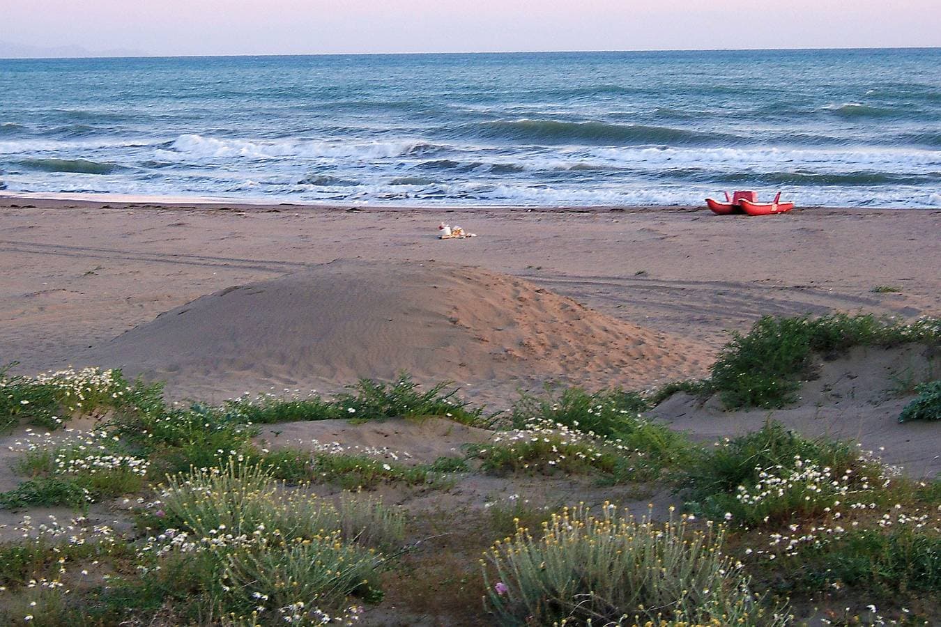 Foto 11 von 46: Wohnung Ancora nahe am Meer