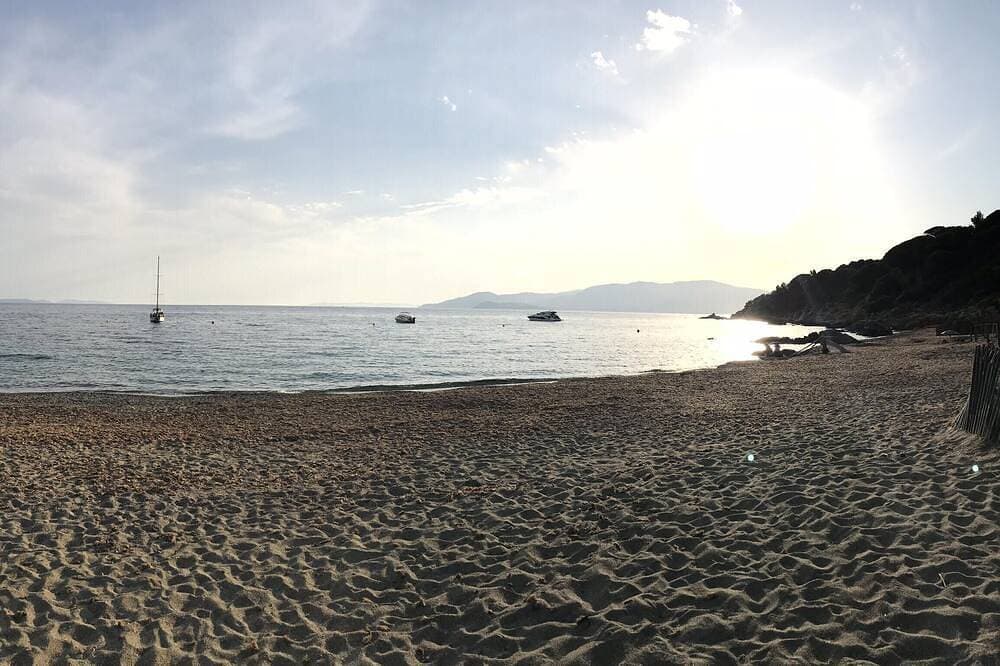 Foto 12 von 13: Große Wohnung Studio Croix Valmer - 2 Minuten vom Gigaro Strand - In der Nähe von Saint Tropez