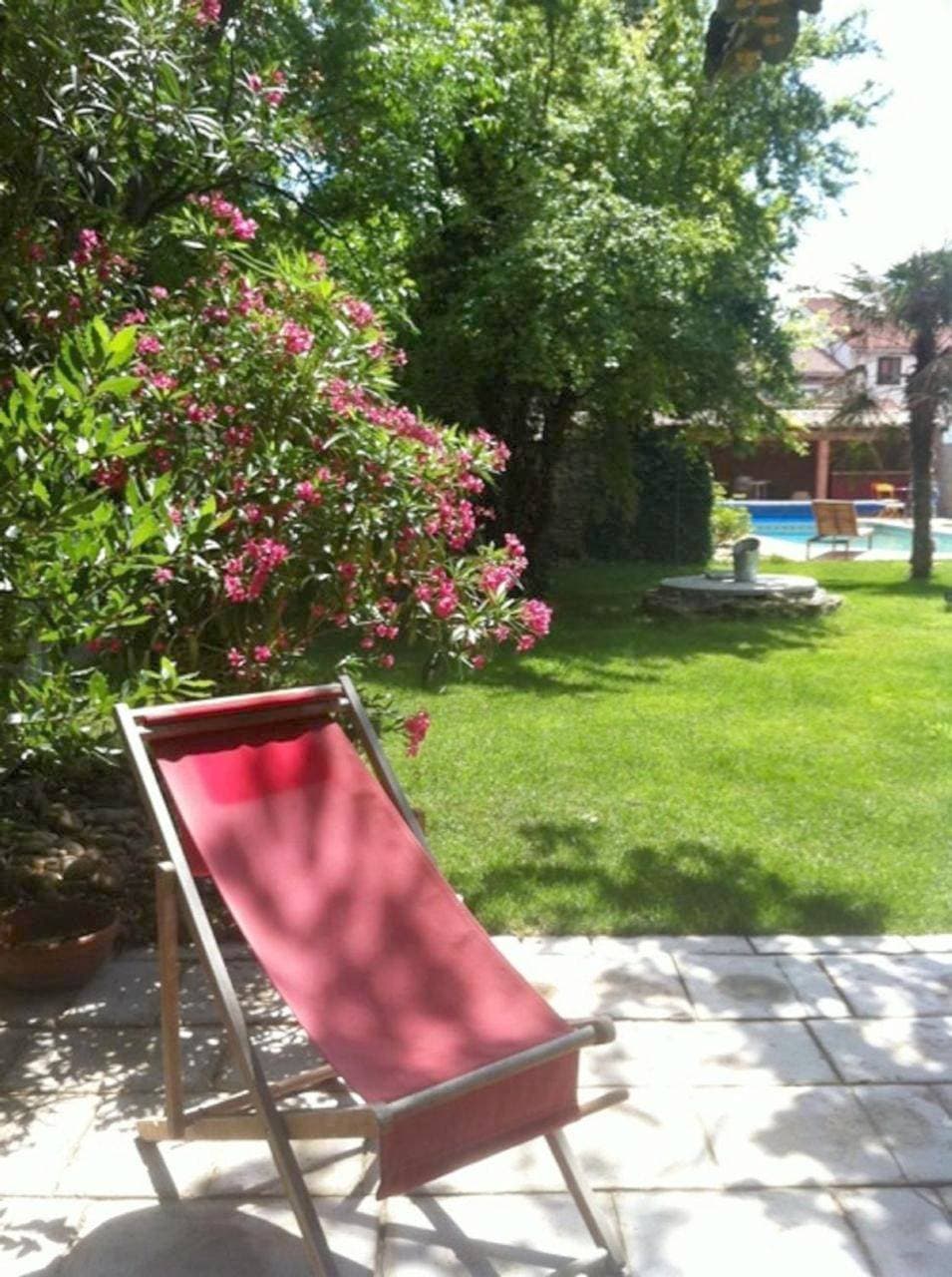La Cathare 1