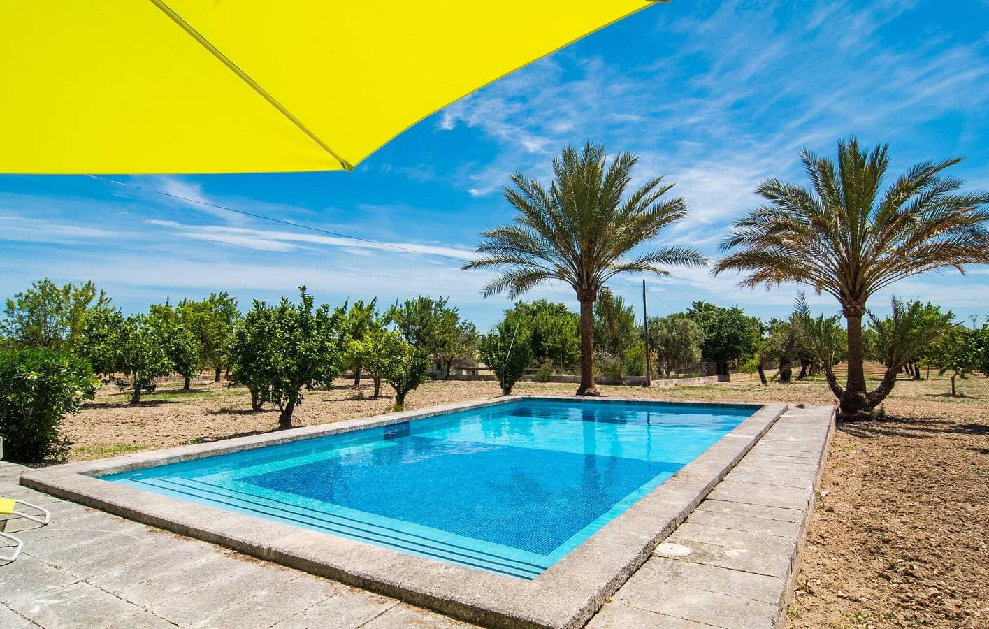 Foto 4 von 41: Sonnige Terrassenwohnung mit Pool: Binissalem Gem