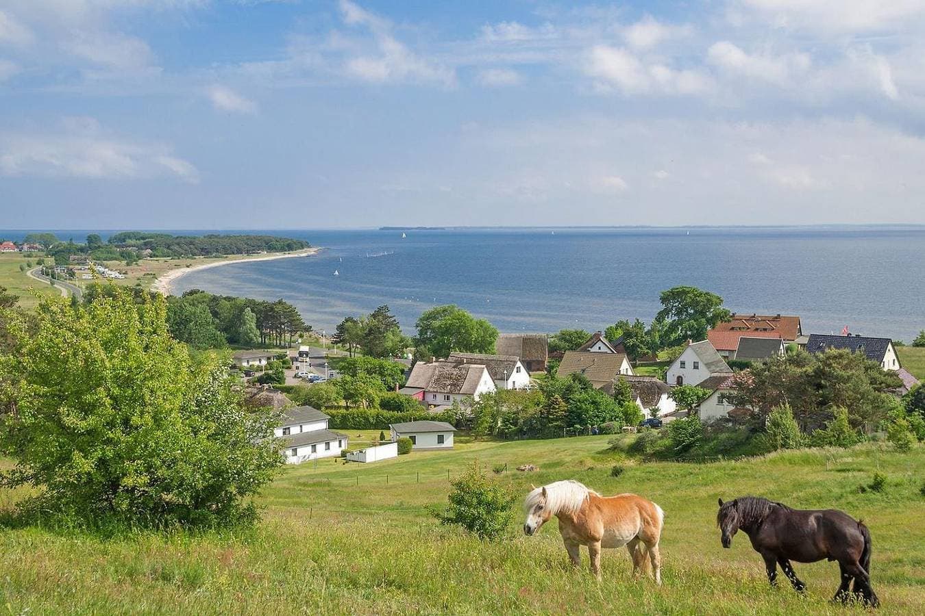 Foto 13 von 21: Ruhige Lage nah am Meer, Gartennutzung - Ferienhaus Auszeit FeWo 02