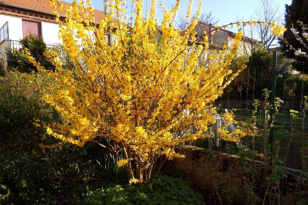 Foto 8 von 19: Le Jardin des Etats - In der Stadt und mitten im Grünen