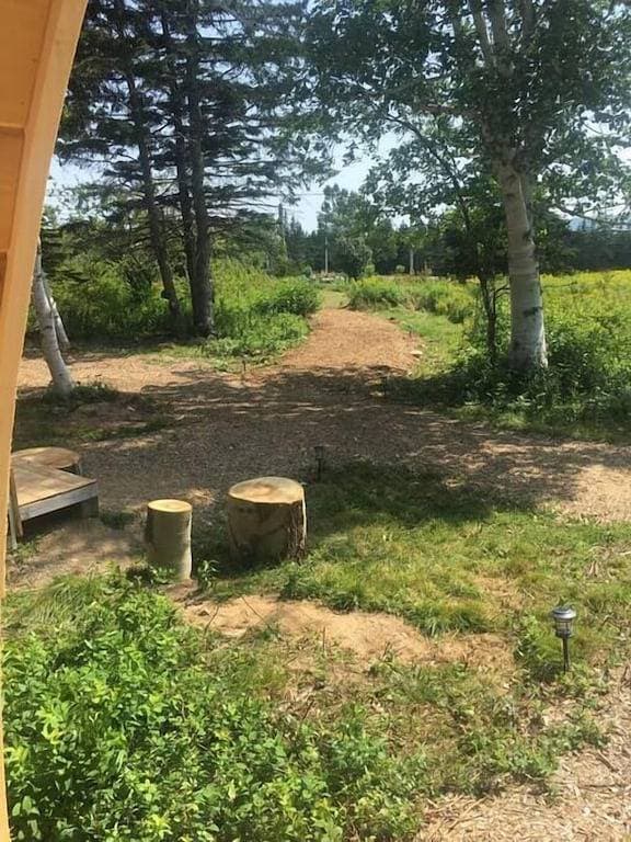Foto 4 von 6: White Birch Camping Pod at The Spruces