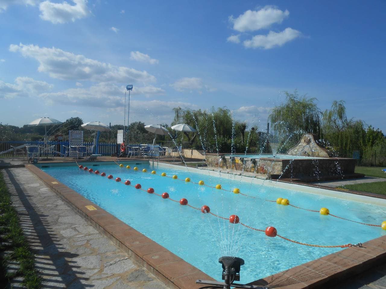 Foto 13 von 35: Rotreiher-Urlaub am Trasimeno-See