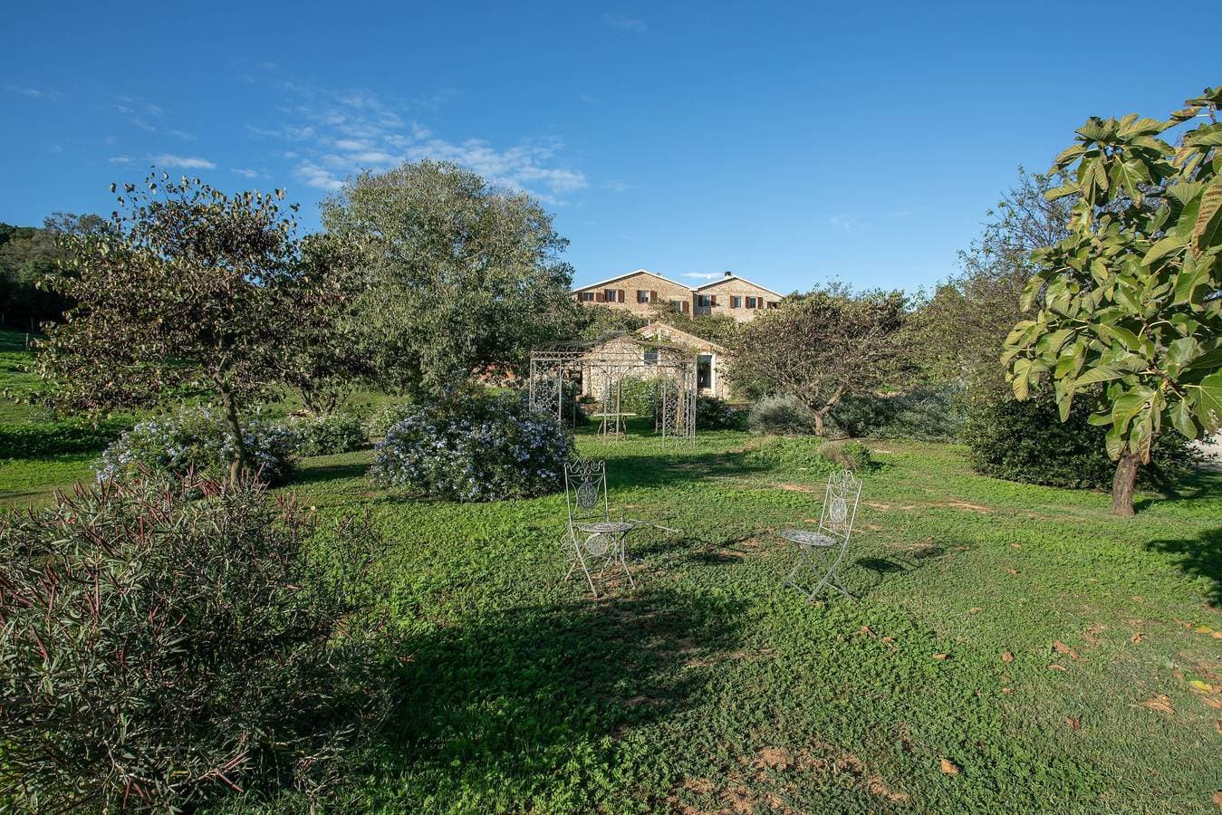 Foto 12 von 34: „Gelsomina – Agriturismo La Valentina“ mit Terrasse und WLAN
