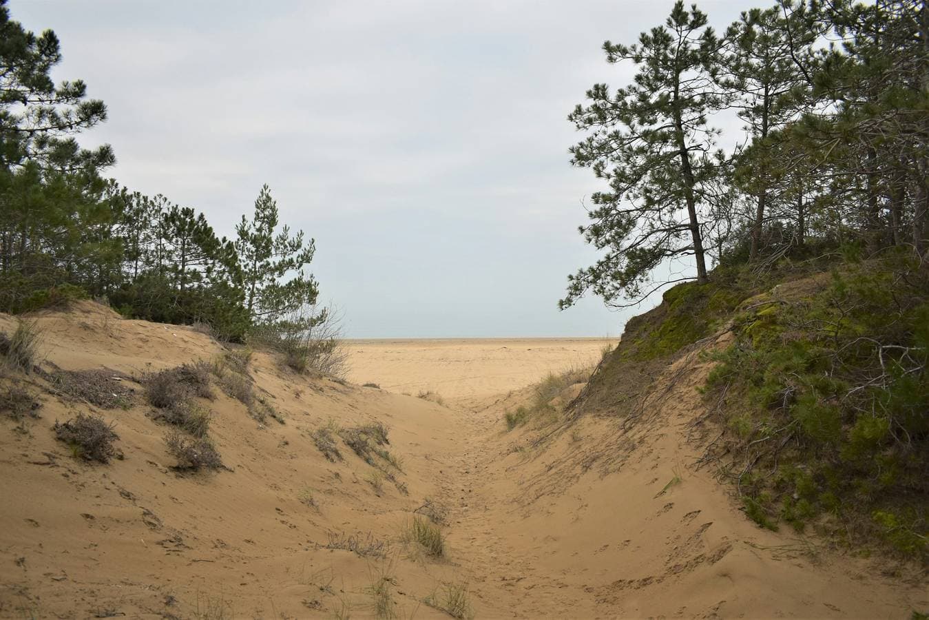 Foto 12 von 13: Gemütliches Studio mit Meerblick in Lignano Sabbiadoro