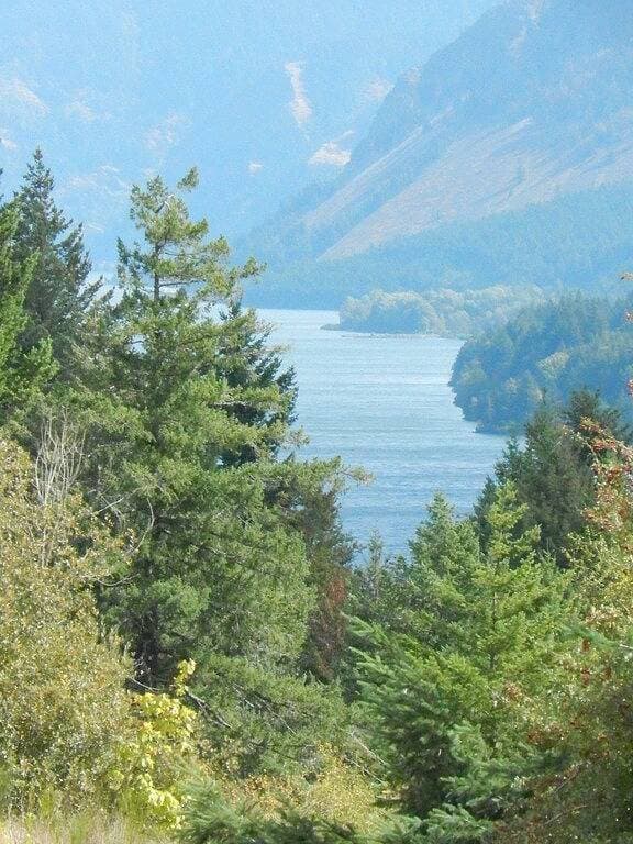 Foto 7 von 27: Mt Defiance Cabin mit Blick auf den Columbia River