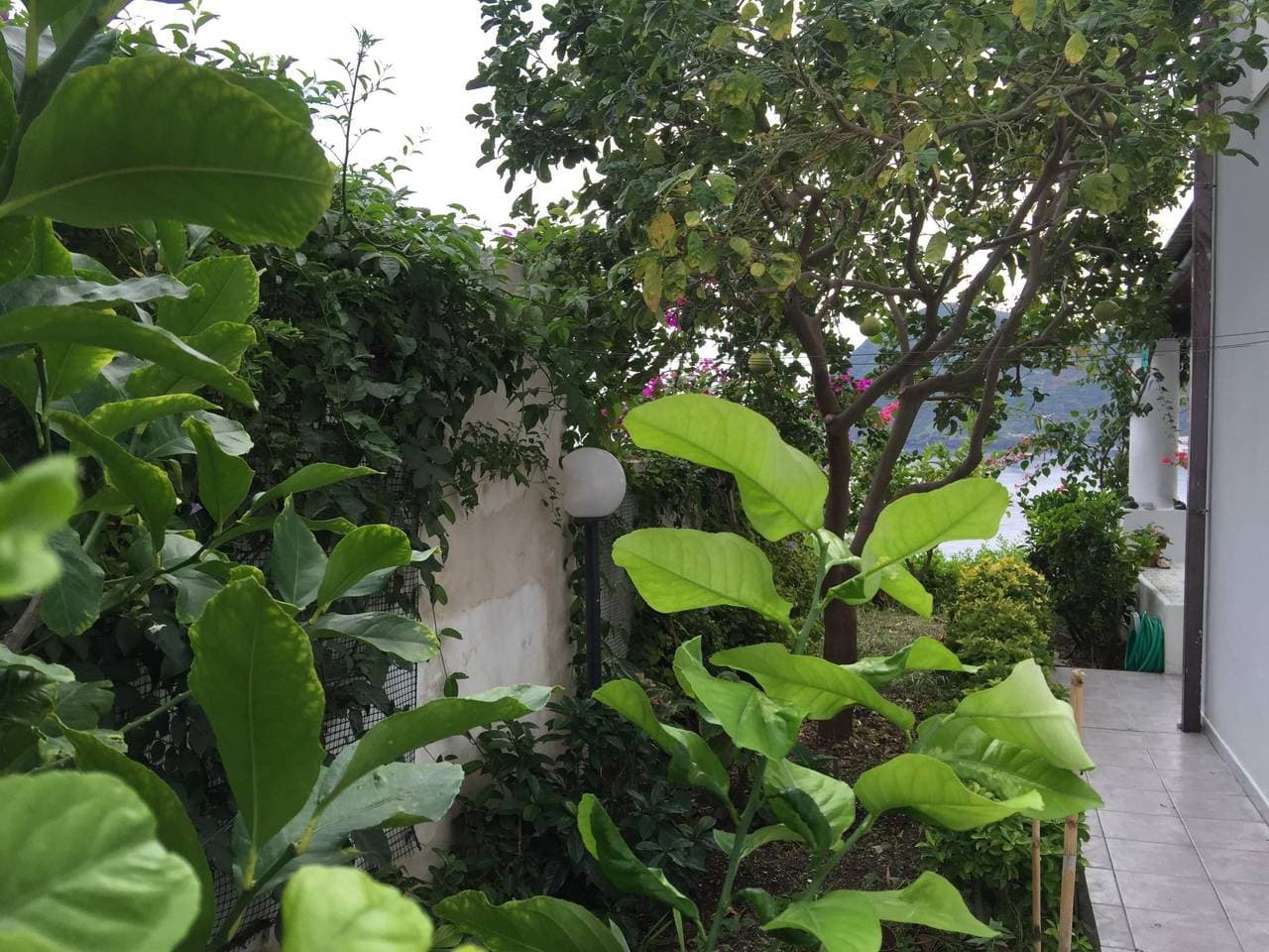 Foto 13 von 20: Wohnung C