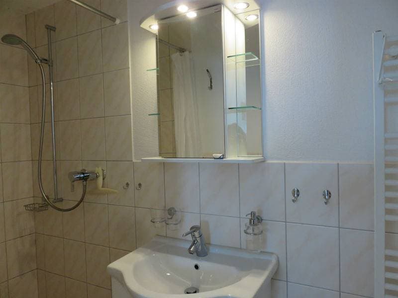 Foto 11 von 13: Ferienwohnung BioHof Casutt, Tenna - 1 Zimmer Ferienwohnung für max. 2 Pers.
