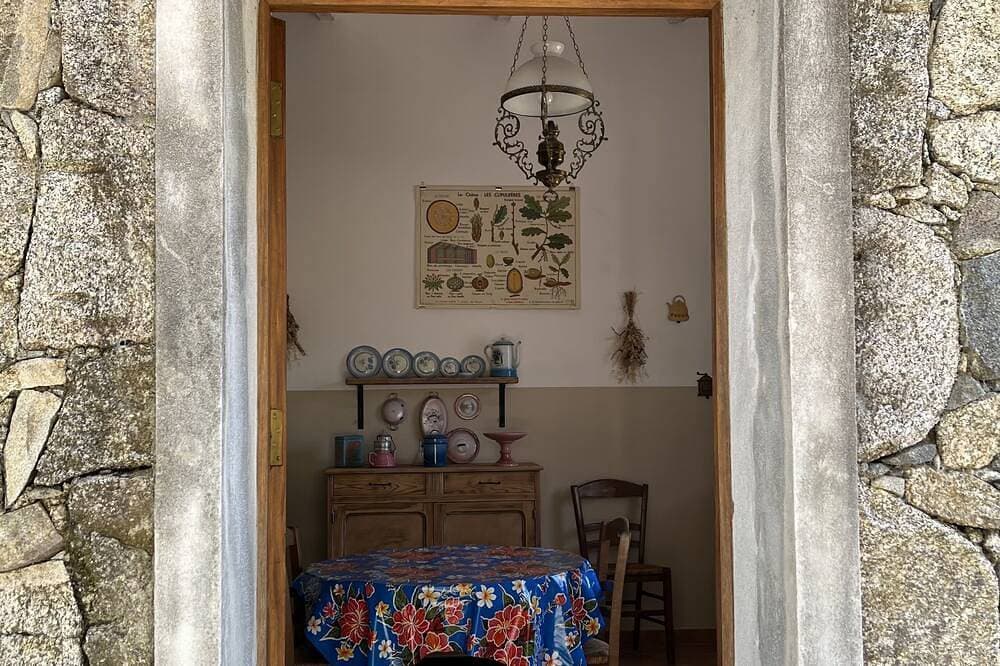 Foto 9 von 30: Caseddu kleine, charmante typisch korsischen Schafe