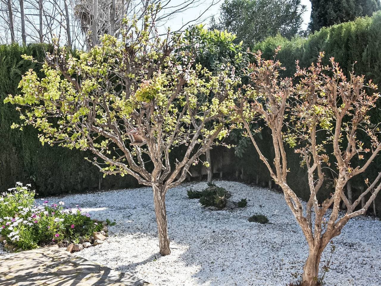 Foto 7 von 60: Villa Esmeralda