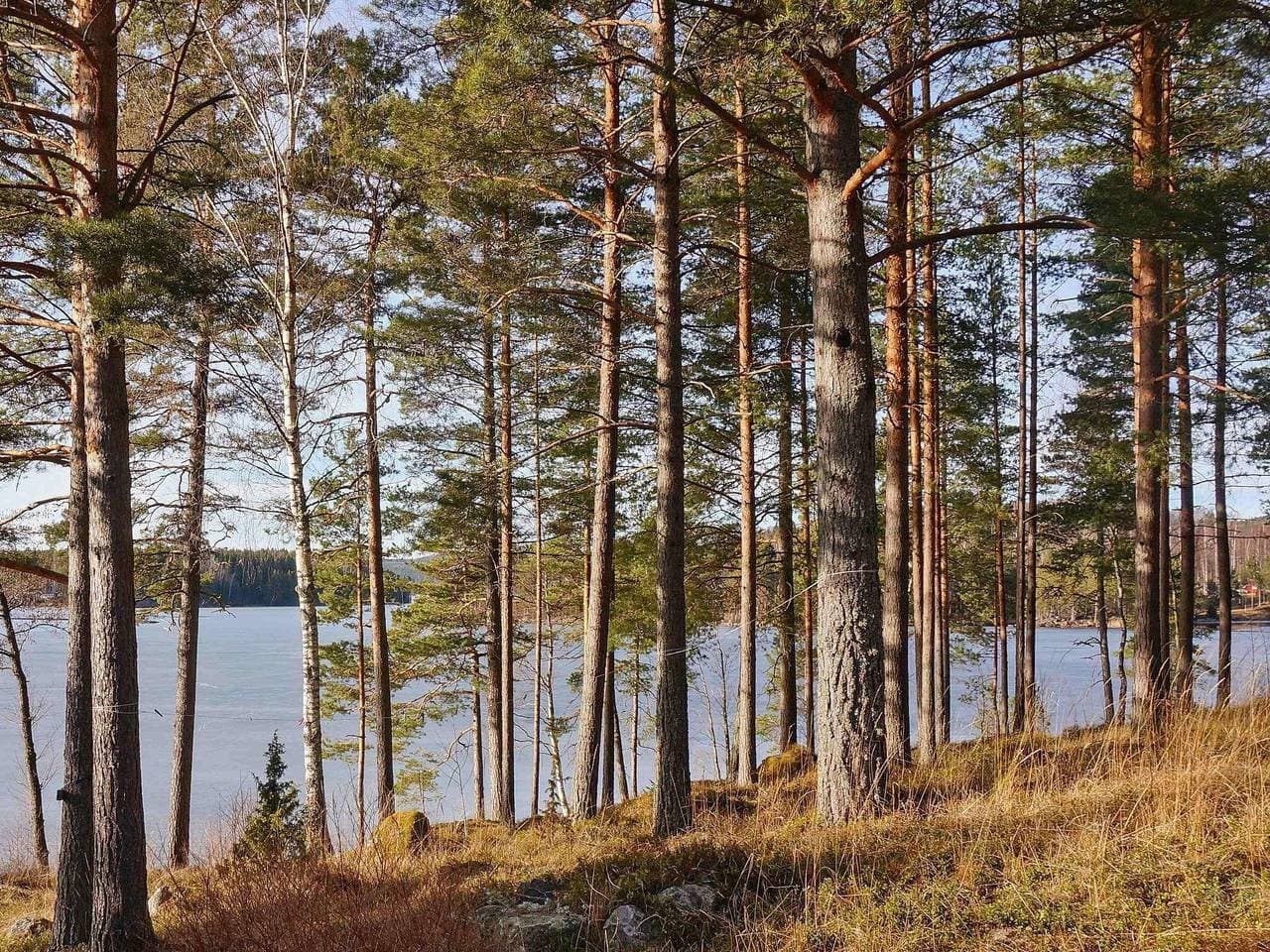 Foto 9 von 18: 4 Personen Ferienhaus in Årjäng