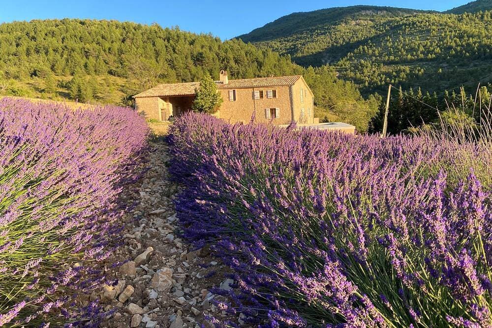 Foto 7 von 30: Exceptional farm in Drôme Provençale!