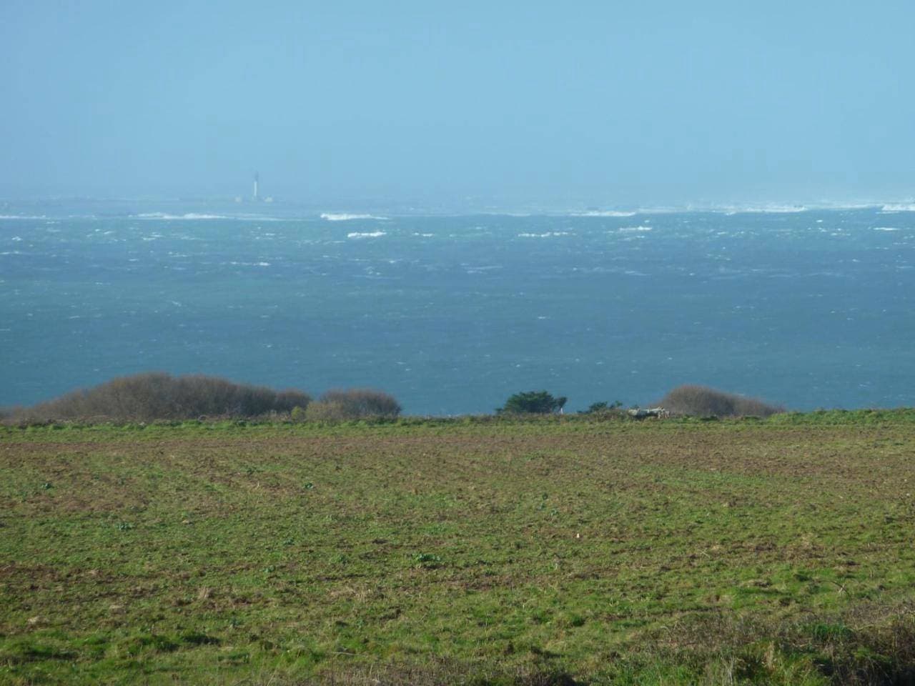 Foto 4 von 17: Apartment with Sea View