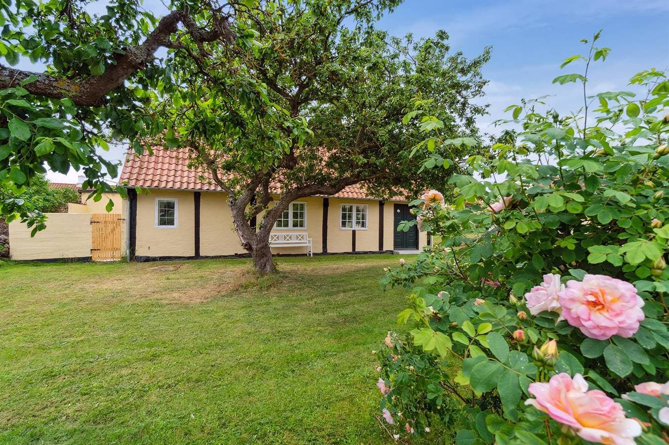 Foto 9 von 28: Pet friendly home in Svaneke with house sea view
