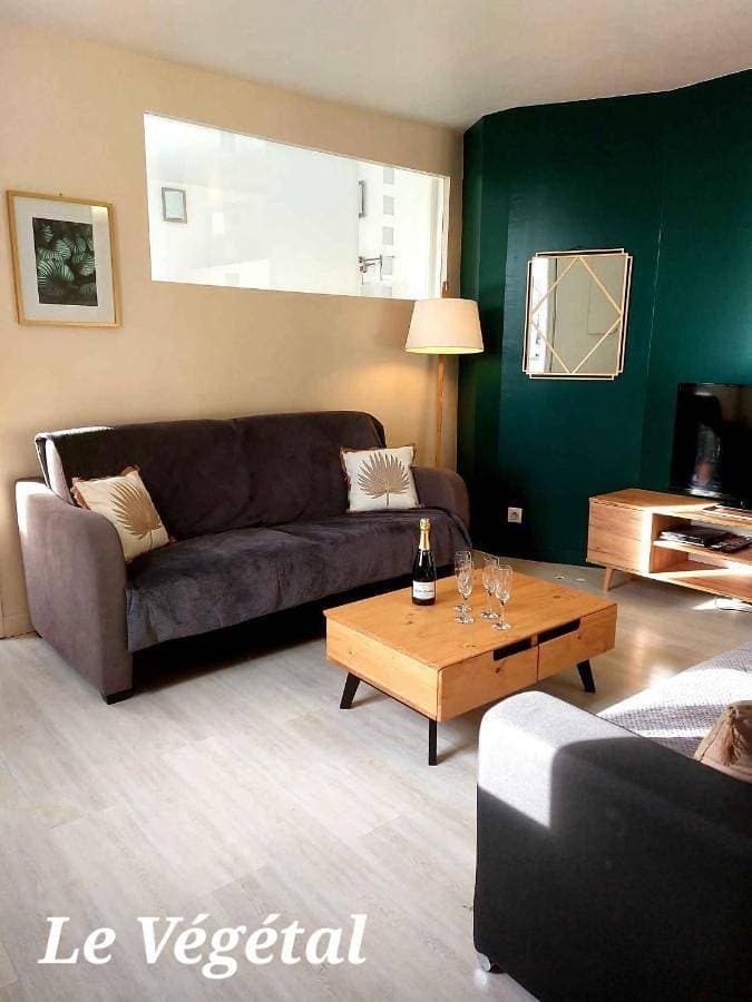 Les Belles Terrasses Dieppe ,3 appartements , LE VEGETAL de 1 à 8 personnes , LE TROPICAL de 1 à 6 personnes , LE FLORAL avec TERRASSE de 1 à 3 personnes , quartier calme au stationnement gratuit à coté de l'avenue verte 1