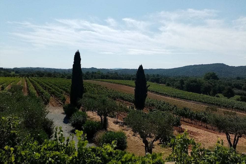 Foto 11 von 21: Charmante 2-Zimmer-Wohnung zu vermieten im Herzen der Weinberge