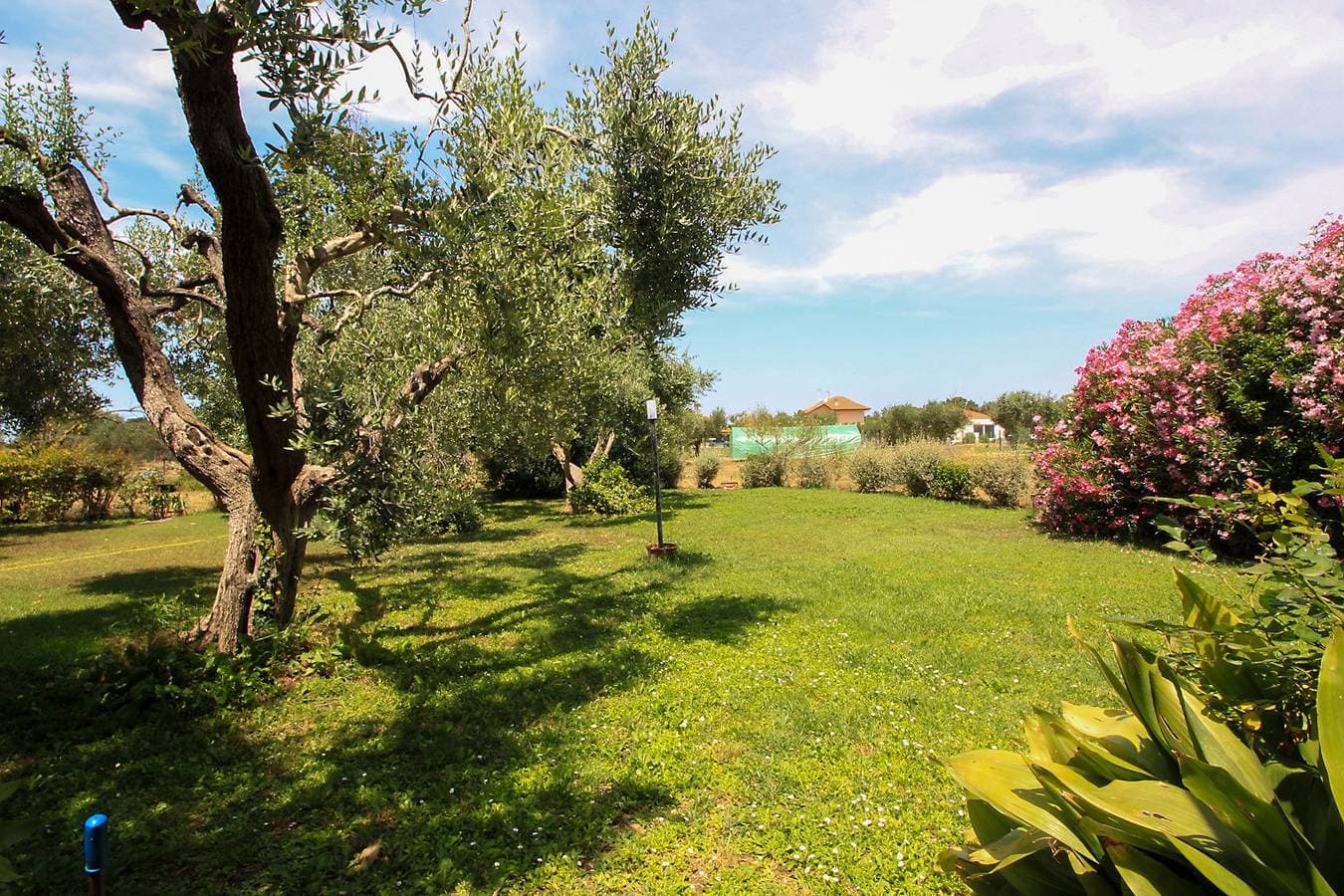 Foto 4 von 50: Haus Casa Allegra im Park der Maremma