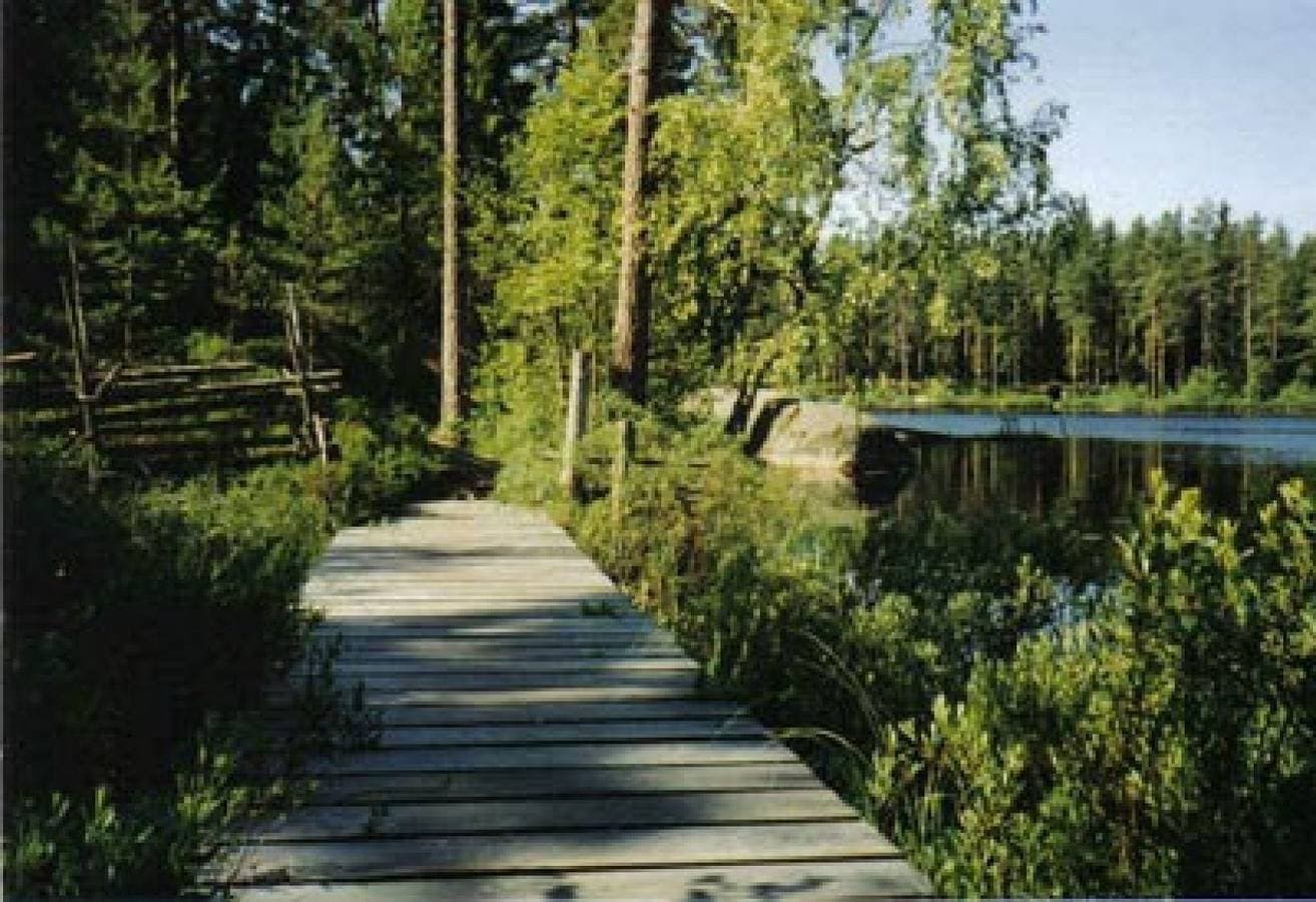 Foto 13 von 14: Urlaub in den Wäldern Smålands